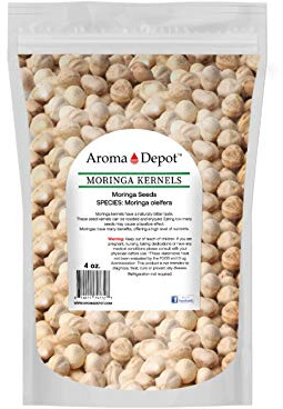 4 oz. Moringa Seeds KERNEL Shelled Clean 100% Natural, Raw Superfood Nutritional, Rich in Vitamins, Edible Seeds, Protein, Minerals, Potassium. (APX 400-500 Kernels)