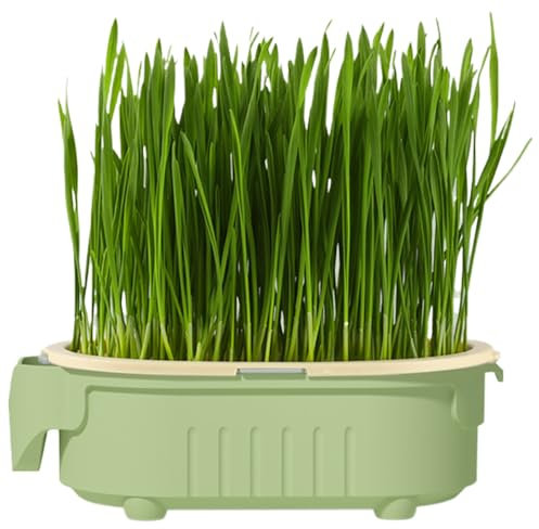 Cat Grass Planting Box - Cat Grass Planter Set | Cat Grass Seed Tray | Indoor Cat Grass Hydroponic Planting Pot | Soil Less Watering Hollow Out Container for Novelty Pet Snacks