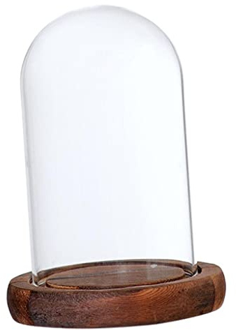 Gcljlmy Glashaube Glasglocke Glassturz mit Holzboden DIY Landschaften Fairy Garten Terrarium (Braun A)
