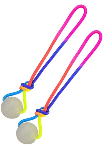 Pelota saltante para perros, 2 juguetes luminosos para el cuidado dental, con mango, pelota interactiva para perros, para perros pequeños, medianos y grandes, para estimular el juego y enriquecer