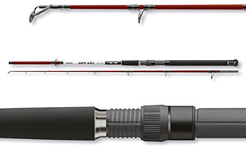 Cormoran Seacor BAT 2,40 m 40-100 g