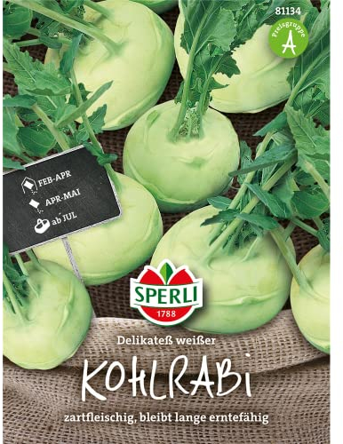 81134 Sperli Premium Kohlrabi Samen Delikateß Weißer | Aromatisch Zart | Langes Erntefenster | Kohlrabi Saatgut