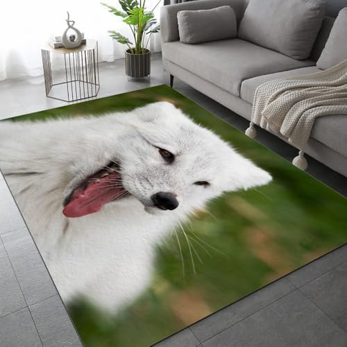 ARiXIaNg Teppich Wohnzimmer Schlafzimmer Fuchs Teppich Kinderzimmer Kurzflor Teppiche rutschfeste Spielteppiche Wald Tiere Teenager Kinderteppich Dekoration Carpets 120x160 cm