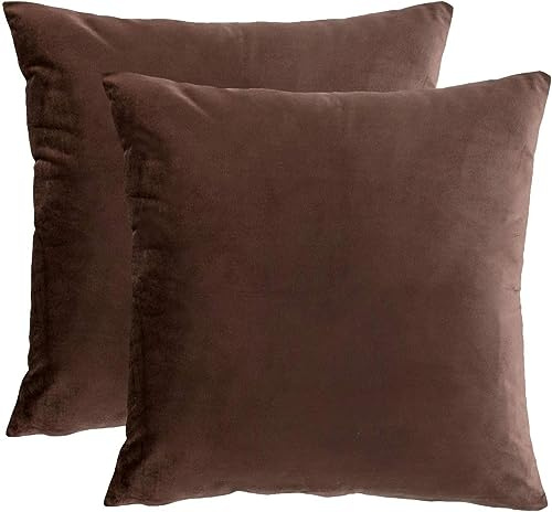 RainRoad Brown Throw Pillows Covers Cushions Set of 2 Soft Velvet Decorative Pillow Covers 20x20 Inch for Couch Bed(Brown-Velvet, 20'' x 20''(2pcs))