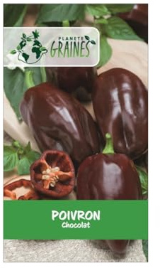 30 Graines de Poivron Chocolat - Chocolate Beauty - Saveur Sucrée Unique pour Vos Recettes - poivron rare