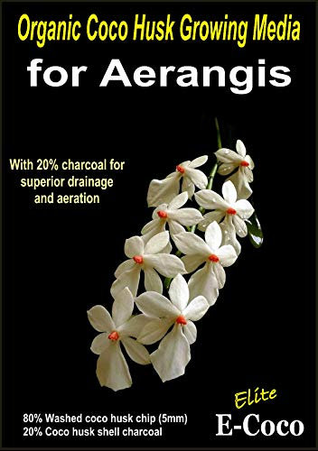 Portal Cool 5 Litri: Biologica Aerangis Orchidee Compost - Orchid Bark sostitutivi - Soil Orchid