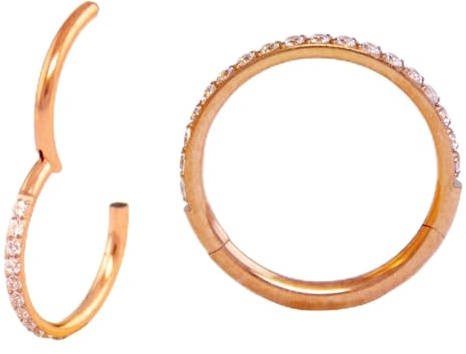 Medinah Piercing Titan Nasenpiercing ring helix piercings– Universal Scharniersegment für Septum, Nase, Lippe, Ohr – Stilvolles Design