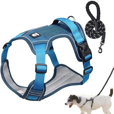 Hundetrainingsgeschirr, Hundegeschirr für große Hunde,Weiches, Nicht ziehendes Haustiergeschirr, verstellbares Hundegeschirr | Flexibles Hunde-Brustgeschirr, Hunde-Zuggeschirr für Outdoor-Aktivitäten