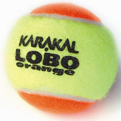 Karakal Lobo orange 12 Tennisbälle entspricht Traffic Light Farbschema