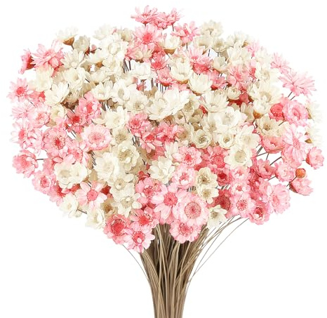 Larber 300PCS Dried Flowers Brazilian Small Daisy Decorative Dried Flowers White Pink Mini Daisy Mini Dried Baby's Breath Chamomile Bouquet for Holiday Party Decoration Diy Home Wedding Arrangements