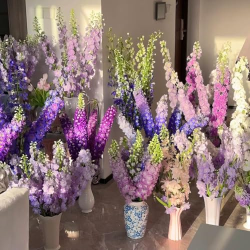 rittersporn winterhart mehrjährig zimmerpflanze garten balkon blumensamen mehrjährig winterhart, balkonblumen kräutergarten winterharte kübelpflanzen, winterharte 300samen