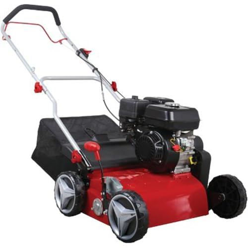 1 PZ SCARIFICATORE LEONARDO 42 STARS 4T CC 212 CM 42 LT 40