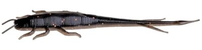 ZECK - Angelköder, Kunstköder, Gummifisch - BA Shaky Sneaker | 6cm - Dark Goby | 11 STK.