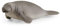 Schleich 14839 Wild Life Manatee