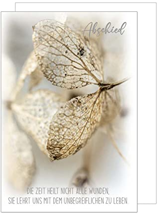 Edition Seidel Premium Trauerkarte mit Silberprägung und Umschlag. Beileidskarte Trauer Karte mit Spruch Abschied Blüte herzliches Beileid Teilnahme Mitgefühl (T1052 SW023)