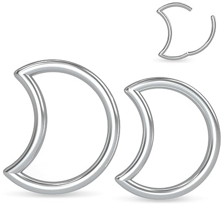 Longbeauty 2 Pcs 1.2mm Ohrpiercing G23 Titan Klicker Nasenring Knorpel Ohrring Segmentring Daith Conch Tragus Helix SeptumHerz/Mond, 8MM/10MM, 1.2mm Silber, Stil B
