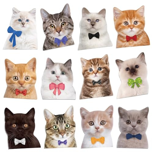 12 Stück Kühlschrankmagnete mit Lustiger Katze,Niedliches Meme Katzen Sticker Set,Weiche Magnete,Starke Dekomagnete,wasserdichte Sticker Für Whiteboard,Auto,Küche,Büro,Koffer Für Katzenliebhaber