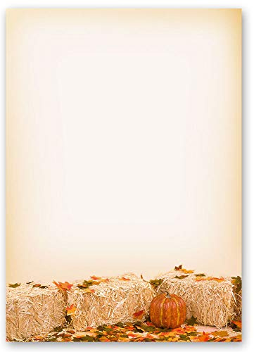 Motivpapier HERBSTLAUB Jahreszeiten - Herbst Herbstmotiv - DIN A4 Format 100 Blatt - Paper-Media