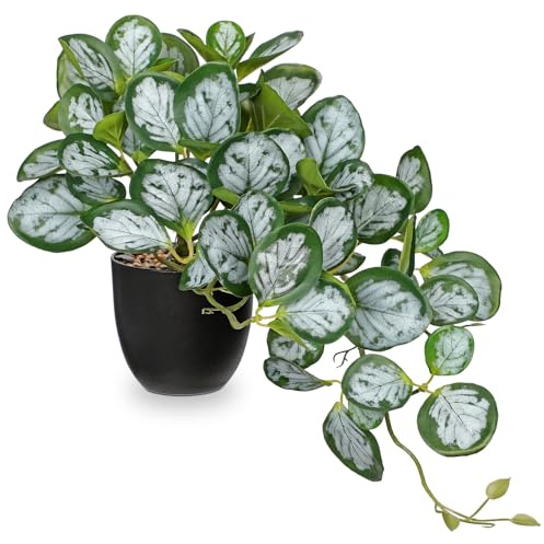 Hollyone Künstliche Pflanze Zimmerpflanze, 33cm Gefälschte Peperomia Tetraphylla Blätter Künstliche Pflanze im Topf, Weiß Kunstpflanze Wie Echt Grün für Tischdeko Haus Büro Küche Dekoration