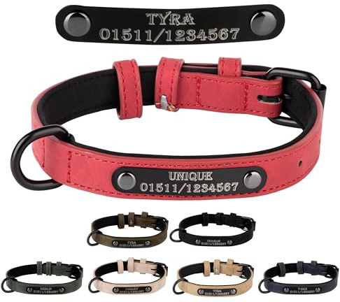 Jacks O Be Hundehalsband Halsband Name Gravur personalisiert Haustier Hund Katze Leder (Rot ohne Name, XXL)