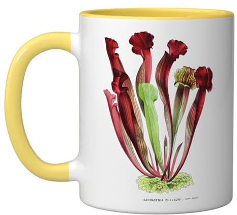 Carnivorous Plants CARNIVOROUS PITCHER PLANT Sarracenia Ceramic Mug, Yellow/White