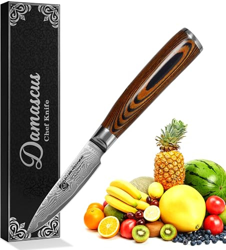 Damascus Paring Knife 3.5 - Professional 67-Layer VG10 Steel, Ultra Sharp 12° Edge Kitchen Utility Knife with Pakkawood Handle & Gift Box for Peeling, Slicing, Garnishing, Fruit Vegetable Prep