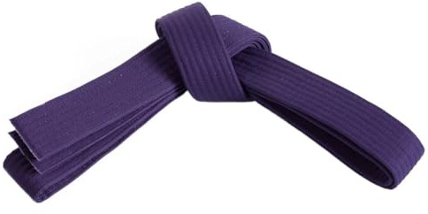 Mastery Leadership (purple belt, 3)