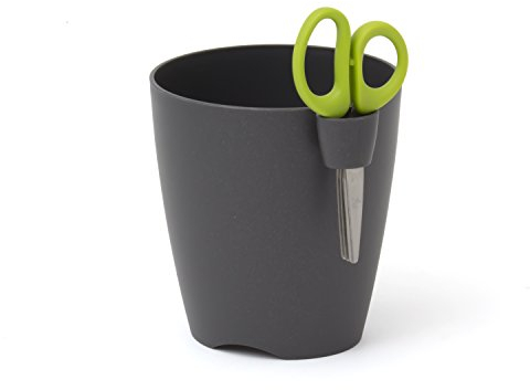 Prosper Plast Graphite à Herbe Fleur 15 cm Pot Plastique Limes Uno avec Ciseaux à Herbes