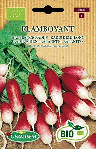Germisem Radieschen FLAMBOYANT, ECBIO9033