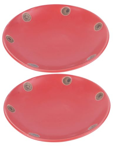 TOYANDONA Plato de Maceta Redondo de Cerámica para Plantas Suculentas, 2 Piezas, Fácil de Almacenar y Mantener Limpio el Suelo, Adecuado para Interiores y Exteriores Varios Estilos