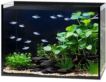 2.5 Gallon Clear Glass Fish Tank, Small Fish Tank Aquarium for Betta, Goldfish, Snail,Shrimp and Aquatic Planting