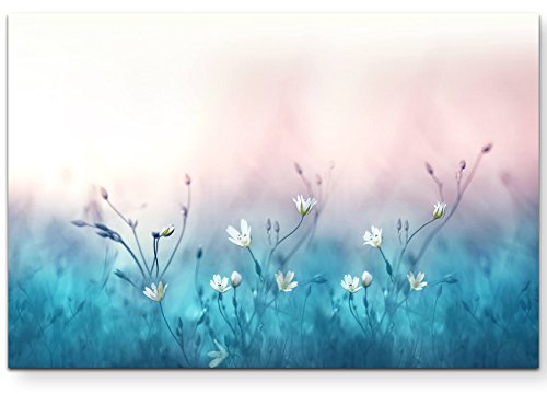 Paul Sinus Art Leinwandbilder | Bilder Leinwand 120x80cm weiße kleine Blumen auf türkiser Wiese