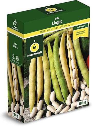 Mascarell Semillas, JUDÍA LINGOT SUISSE, Semillas Leguminosas, Fácil de Cultivar en Casa, 100 G.
