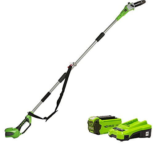 Greenworks Tools Akku-Hochentaster (Li-Ion 40V 20cm Schwertlänge 8 m/s Kettengeschwindigkeit Teleskop-Alustange 3-teilig inklusive 2 Ah Akku und Ladegerät), 20157UA, Grün