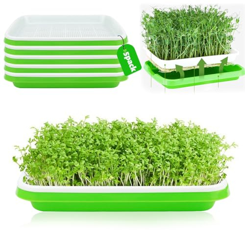 CHRI 5 Stück Keimschalen für Sprossen 31cm x 25cm | Seed Sprouter Tray Keimschale Kresse anzuchtschalen Keimung Tablett Keimbox für Anzucht von Mungbohnen Alfalfa Weizengras
