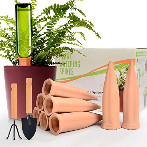 B SEPOR Irrigatore automatico per piante, in terracotta, sistema di irrigazione automatico per vacanze o vacanze (confezione da 8)