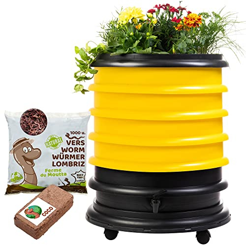 WORMbox | Wurmkomposter Wurmfarm Wurmkiste mit 4 Schalen Gelb + Pflanzgefäß + 500g Kompostwürmer / 1000 STK + 1 Coco | 64 Liter | Regenwurmkomposter, Kompostwürmer produzieren Wurmhumus