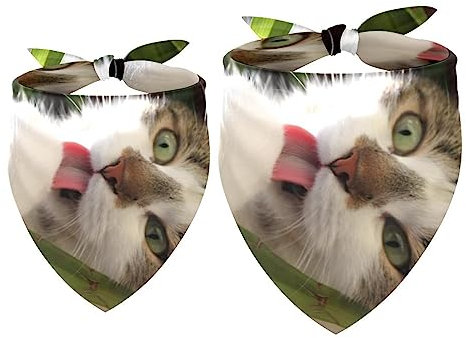 Set di bandane per animali domestici, confezione da 2 bavaglini per sciarpe per cani di taglia piccola, media e grande proprietari di gatti,Gatto animale che mangia erba