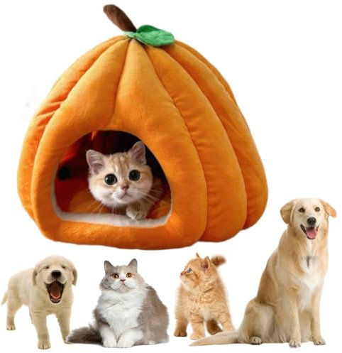 Recitem Katzenbett Flauschig, Kürbis Katzenbett für Indoor Katzen, Katzenkörbchen mit Abnehmbarem Kissen, Warmes Katzenbett Waschbar, Höhle Katzenkissen für Kleine Hunde und Katzen (Orange, S)