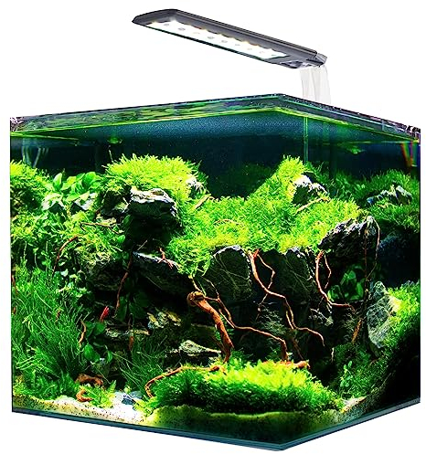 AMTRA NANOTANK SYSTEM 60 - Acquario in vetro completo di luce LED e filtro / cm 38x38x43 / 60 Litri