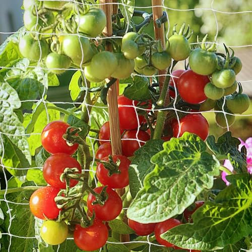 Trellis Netting, PDGROW Heavy Duty Garden Netting, 6 x 30 ft / 1.83 x 9.14m Plant Netting for Climbing Plants, Outdoor Indoor Grow Net for Bean Vine Vegetable Fruits and Flower, 1 PC(One Pack)