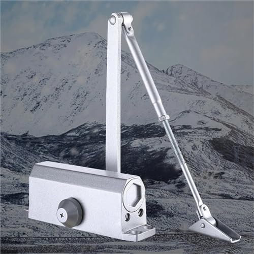 IZNIDUGK Chiudiporta Automatico a Molla Ammortizzatore Idraulico chiudiporta a Scomparsa in Metallo Tappo Porta Regolabile velocità Chiusura silenziosa da 25 a 85 kg 1 pz(45-85KG)