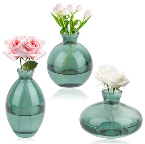 3 Piezas Mini Jarron, Jarrones Pequeños de Cristal,Mini Jarrones Decoración Set, para Florero Deco Cumpleaños, Decoración Boda, Decoracion Mesa