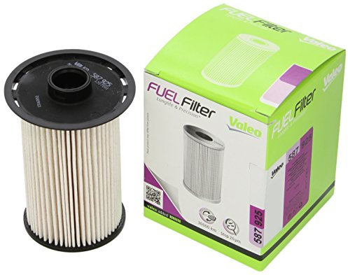 VALEO Filtres à moteur 587925 - Filtre à carburant - Haut niveau de filtration, durabilité, montage facile