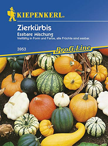 Kiepenkerl Zierkürbis Essbarer Mix