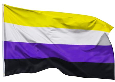 PHENO FLAGS Banderas Bandera no binaria Resistente a la Intemperie con 2 Ojales de Metal - Colorida Bandera del Orgullo 90 x 150 cm, Multicolor