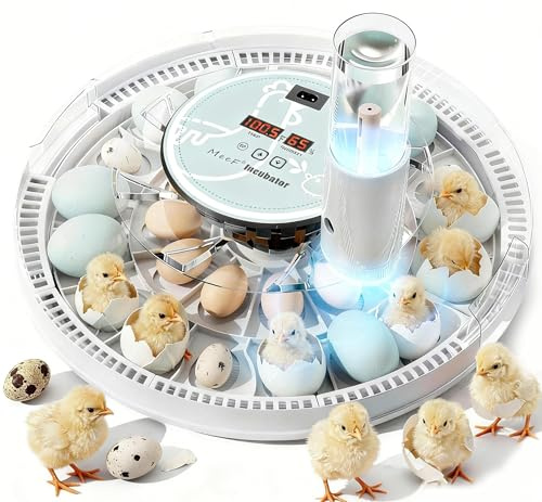 MeeF incubators for Hatching 28 Eggs,Independent atomizing humidifier, Auto Flip, Additional Equipped Well as Duck and Goose Egg Trays That can Hold 12 Eggs.(White)