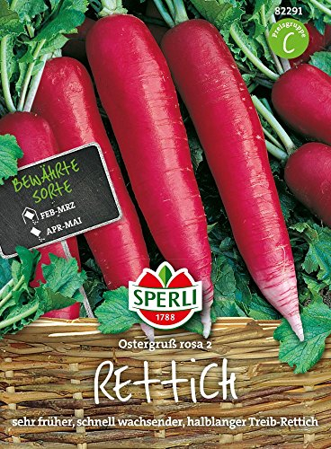 Rettichsamen - Rettich Ostergruß rosa 2 von Sperli-Samen