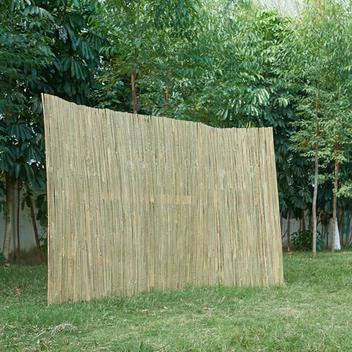 casa.pro Canisse en Bambou Brise-Vue Naturel Occultant pour Jardin Terrasse Balcon Protection Contre Vent Soleil Clôture Décorative Séparation Résistant Facile à Installer 100 x 500 cm Naturel