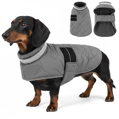 ASENKU Hundemantel Winter - Wasserdicht & Fleecegefüttert für kleine Hunde | Reflektoren, verstellbarer Riemen, Geschirrloch. Winddicht und warm. Hundejacke Geeignet für Miniatur Dackel, Malteser Welpe
